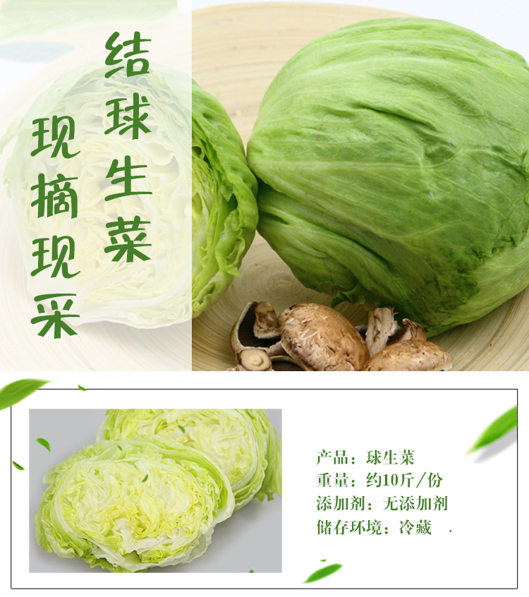 花果山 球生菜 火锅食材 新鲜蔬菜(图1)